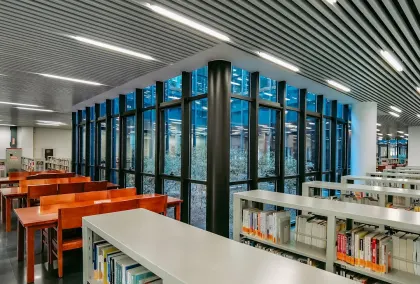 Casino Lion Wins Application mobile